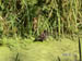 PICT0106
